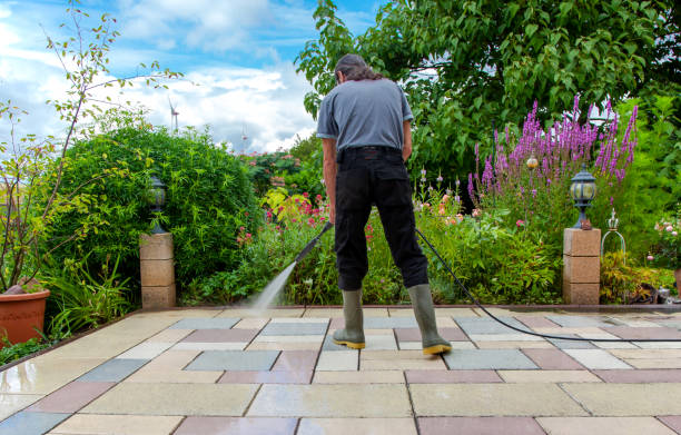 Animal Enclosure Cleaning in Christopher, IL